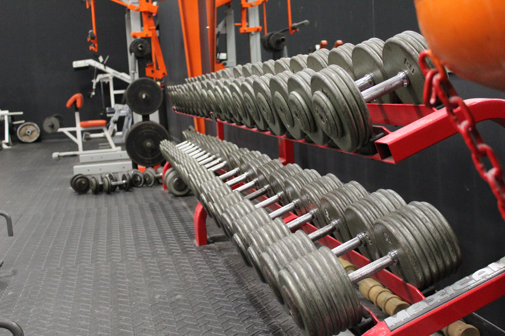 Hip Hinge Technique Tiger Fitness