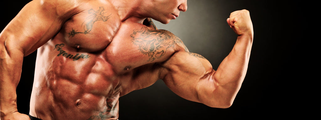 The sleeve-splitting arms workout - Muscle & Fitness