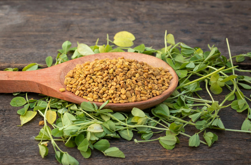 What is Fenugreek Extract Good For? — Tiger Fitness