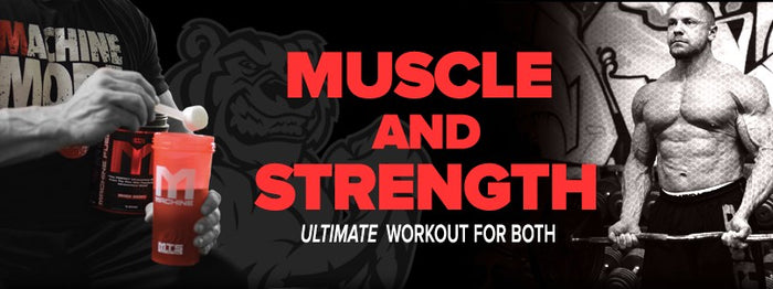 Muscle and Strength E-Book PDF - Free Download