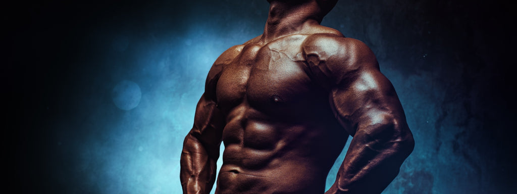 The 8-week Body Reboot Fitness Plan for a Sleek, Strong Body: Phase 1 -  Muscle & Fitness