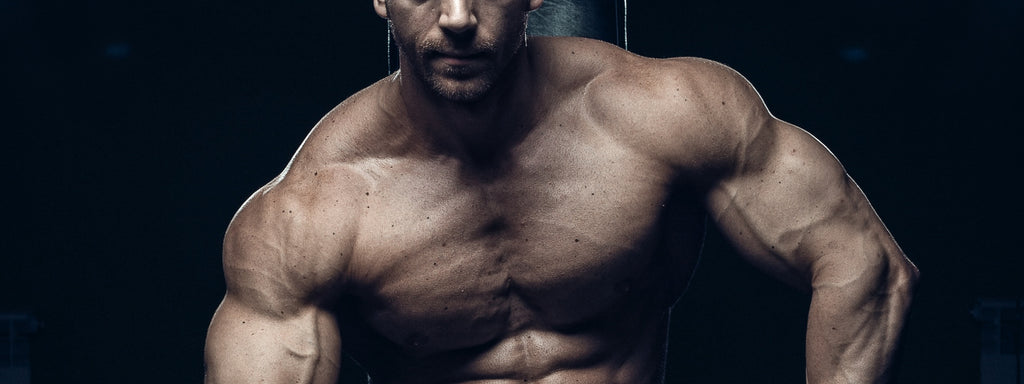 2 Muscle Building Workouts: Building the X-Frame Physique — Tiger