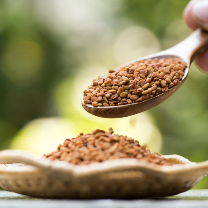 Health Benefits of Fenugreek