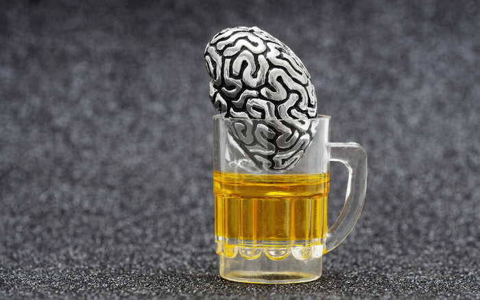 Alcohol Shrinks Your Brain – How to Reverse it!