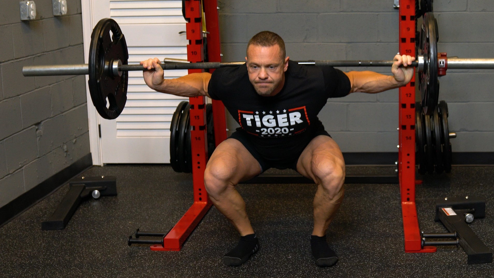 The Best 3 Day Workout Routine Push, Pull, Legs — Tiger Fitness