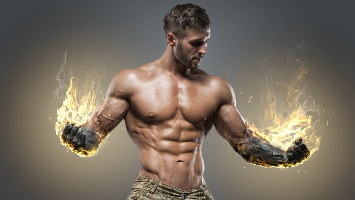3 Day Workout Plan - High Volume Bodybuilding Routine — Tiger Fitness