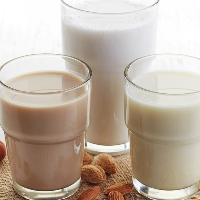Types of Milk to Meet Your Dietary Needs