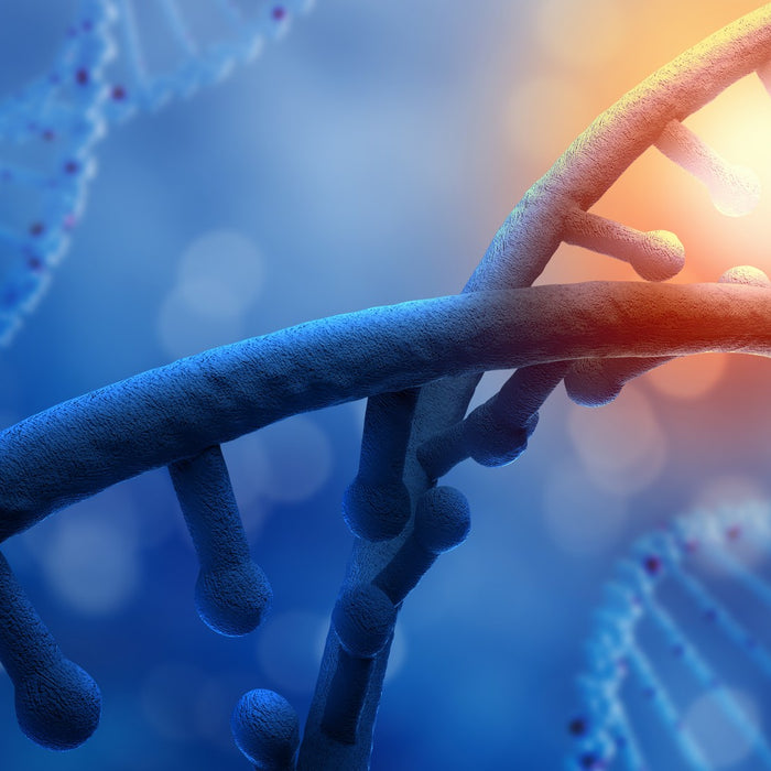 Nicotinamide Riboside - Niagen® for Health & Longevity