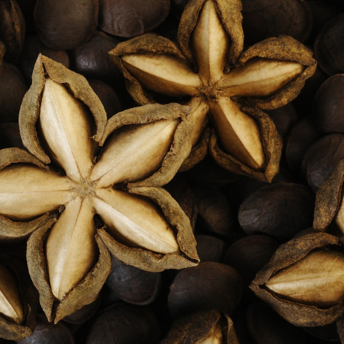 Sacha Inchi Guide - High Protein Superfood