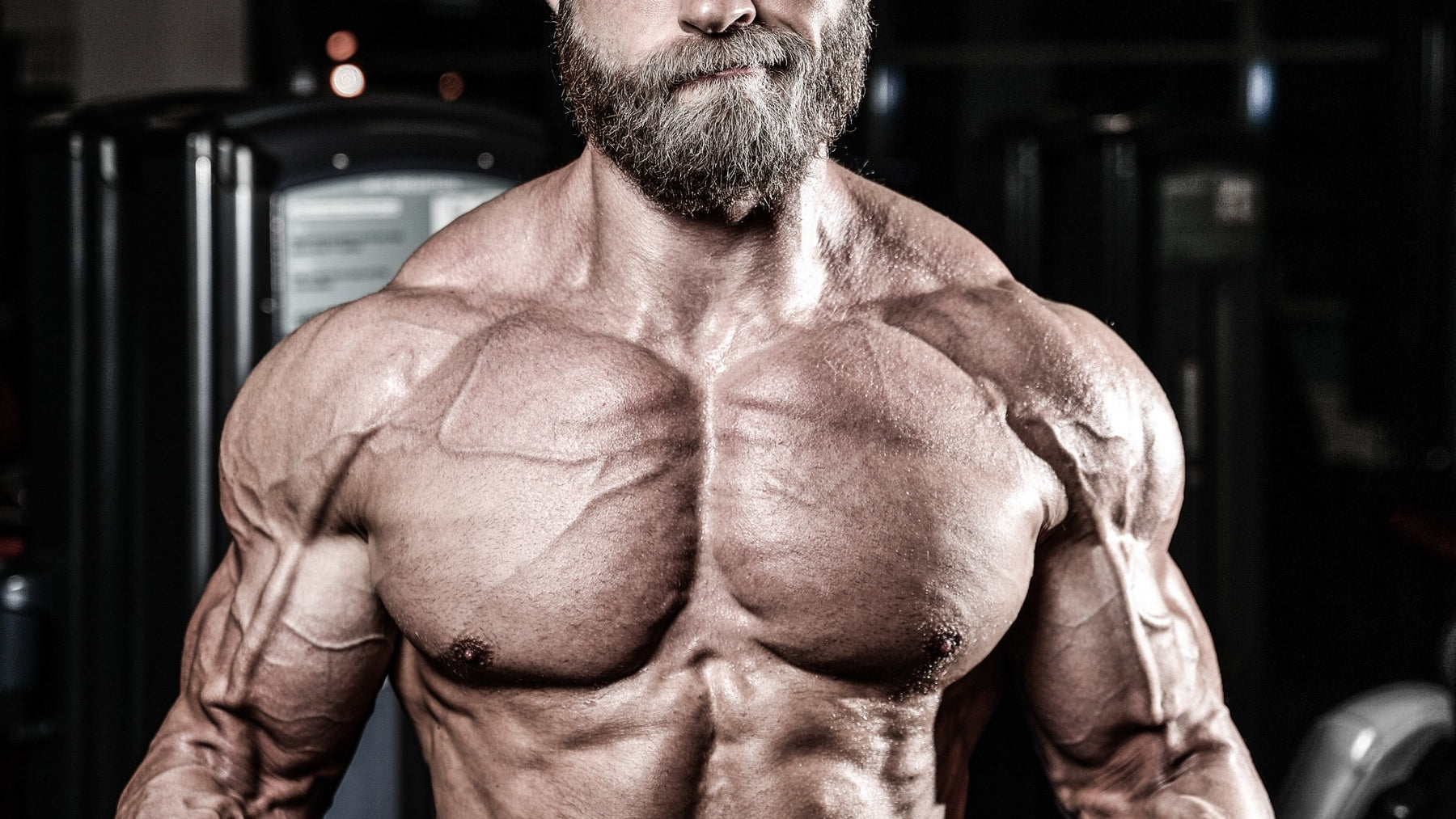 Bodybuilding Over 40: How to Train and Gain