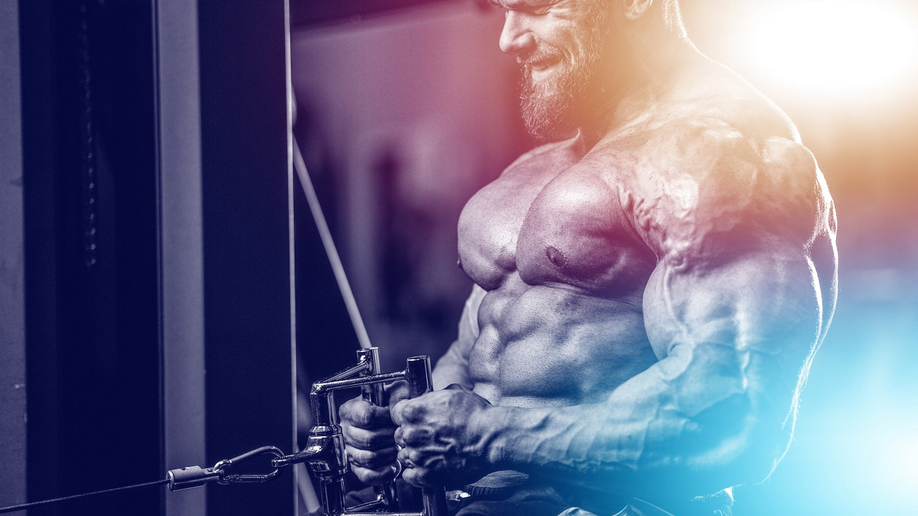 Cerberus Training - The 3-Headed Muscle Building Workout System