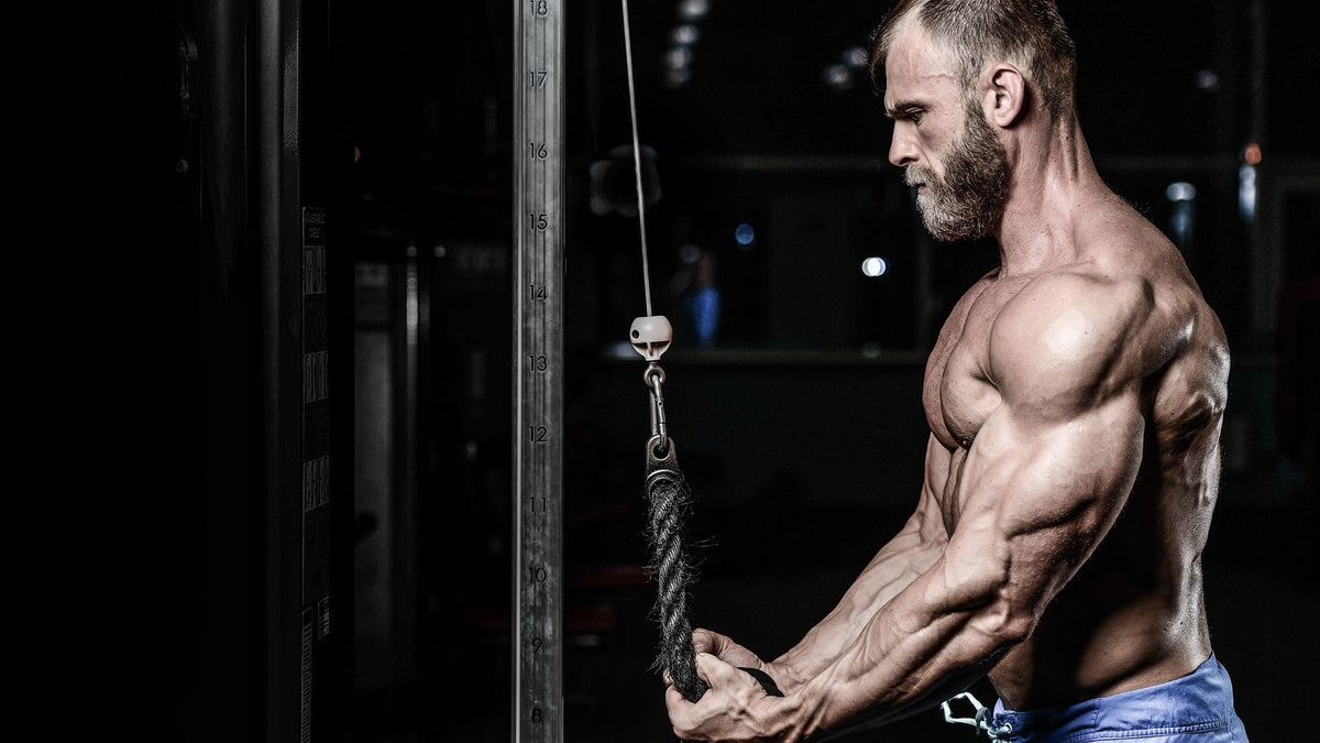 Discover The Best Rep Range For Muscle Growth — Tiger Fitness