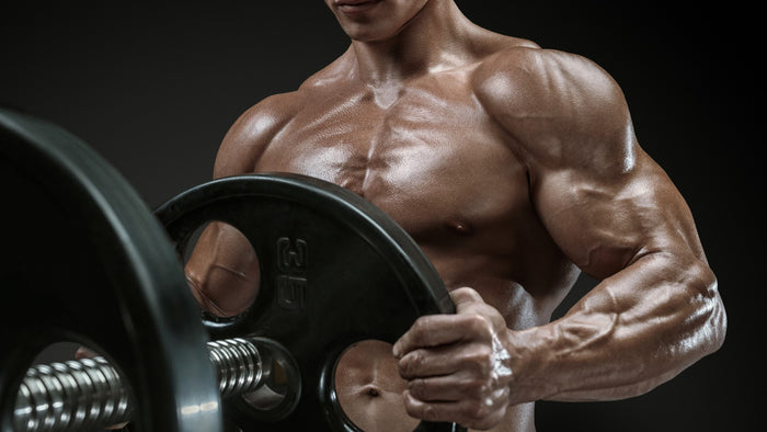 How to Build Your Own Muscle Building Workout