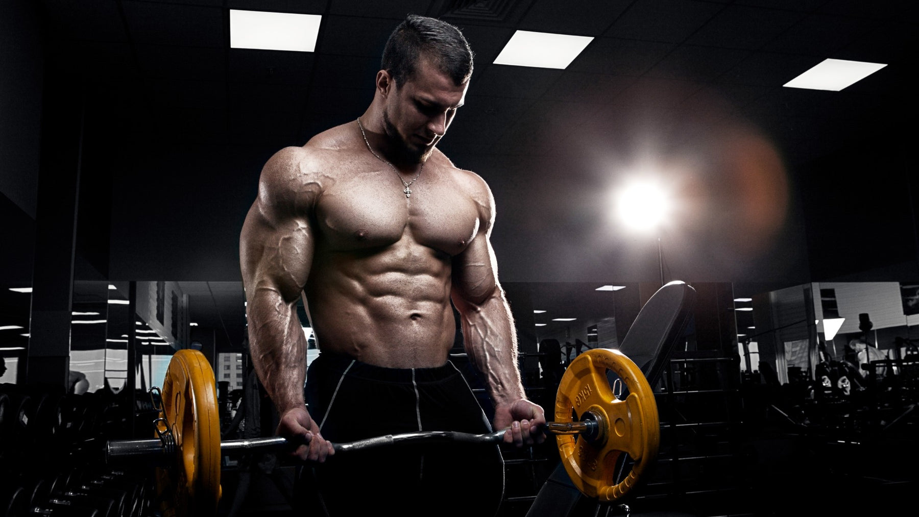 12 Tips To Building Massive Arms