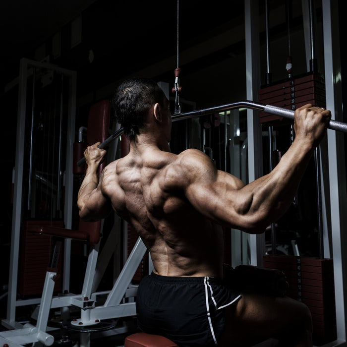 8 Must Do Back Exercises for Mass