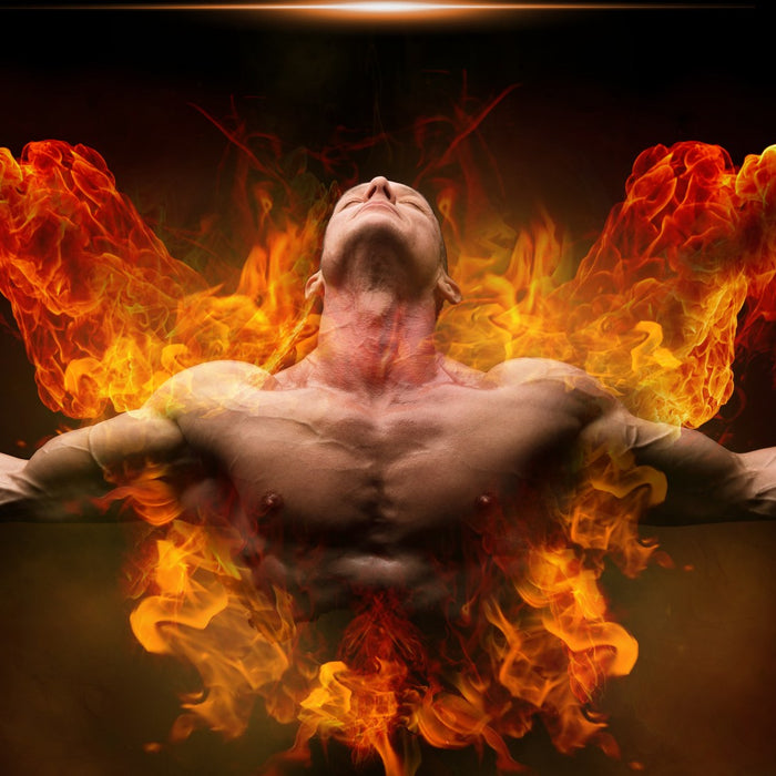 The Power of Nitrates - Gym Performance & Muscle Enhancement