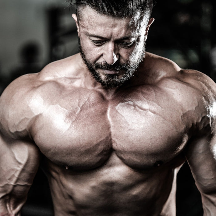 Our Gym Gospel - The Mantra of the Gym Faithful