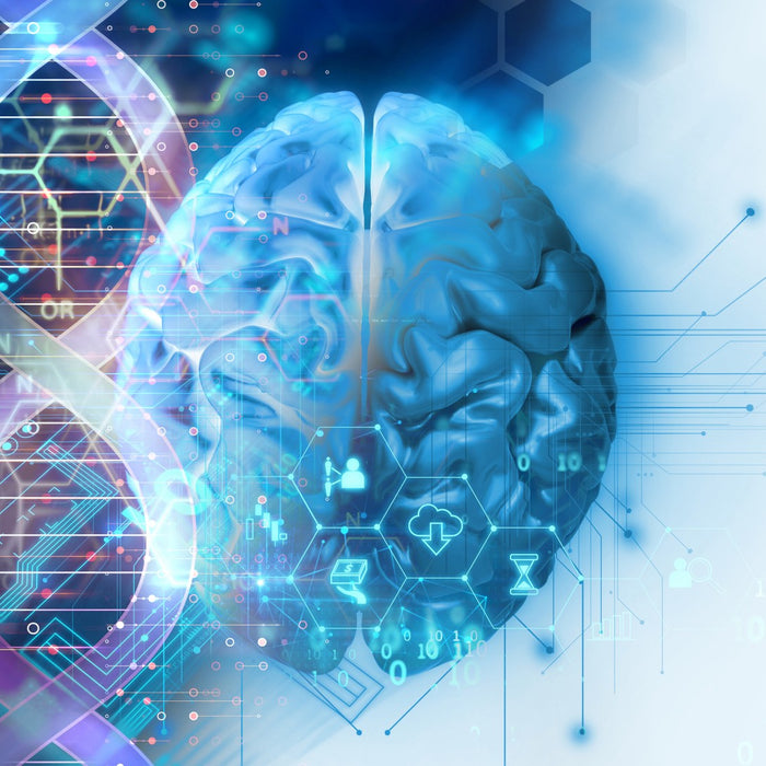 What are Nootropics?