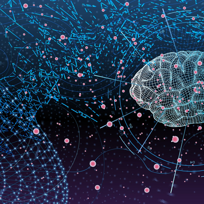 Racetams for Mental Acuity and Focus
