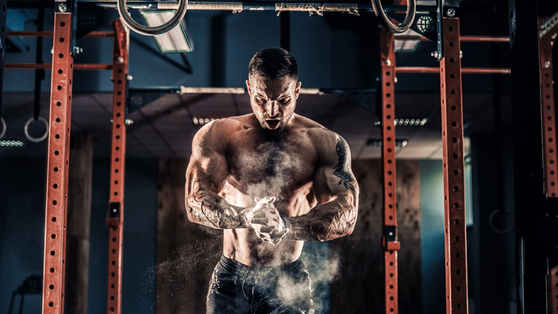 2 Muscle Building Workouts: Building the X-Frame Physique — Tiger Fitness