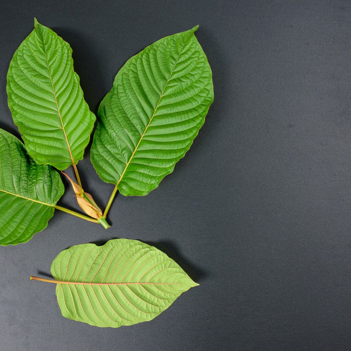 Kratom: Guide to Benefits and Safety Concerns