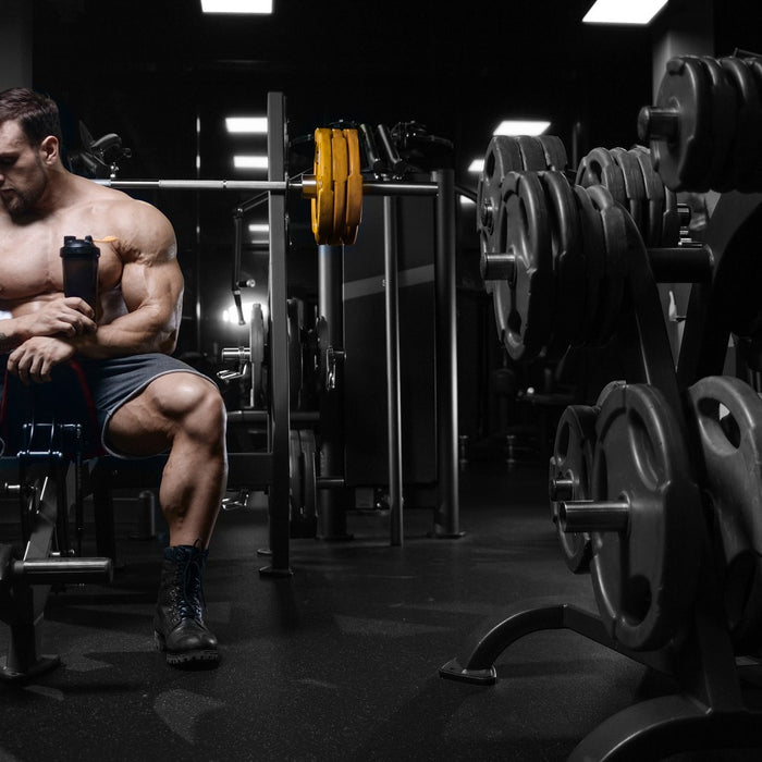 Laxogenin - Guide to the Supplement Ingredient 5 Alpha Hydroxy