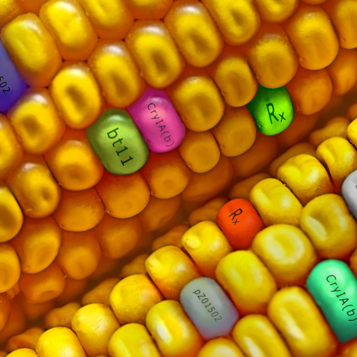 GMOs are Good for You?