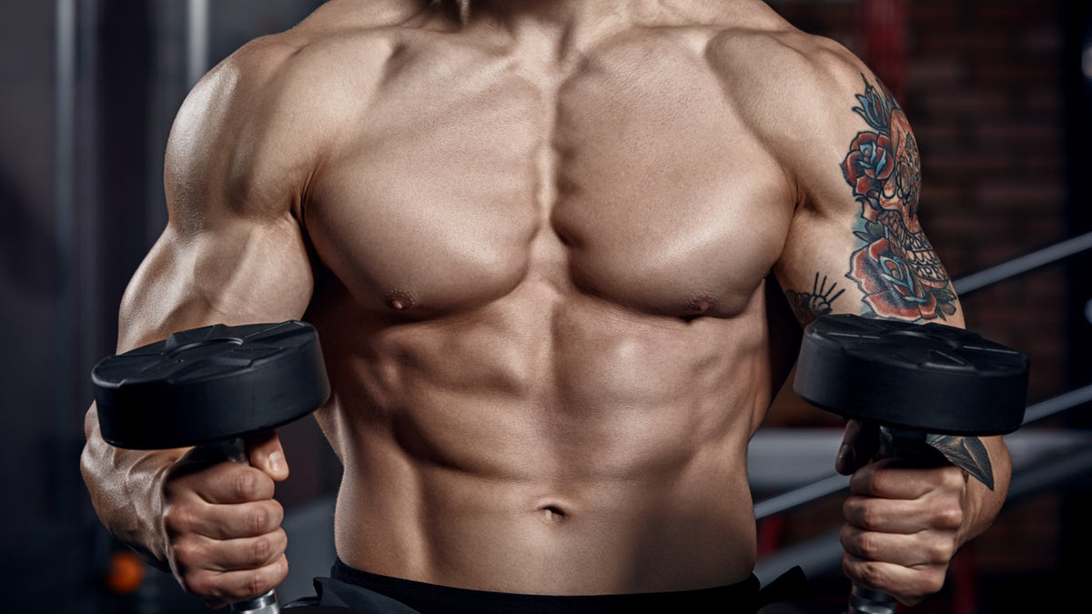 Next Level 5x5 Bench Press Program (Using Auto-Regulated Progression ...
