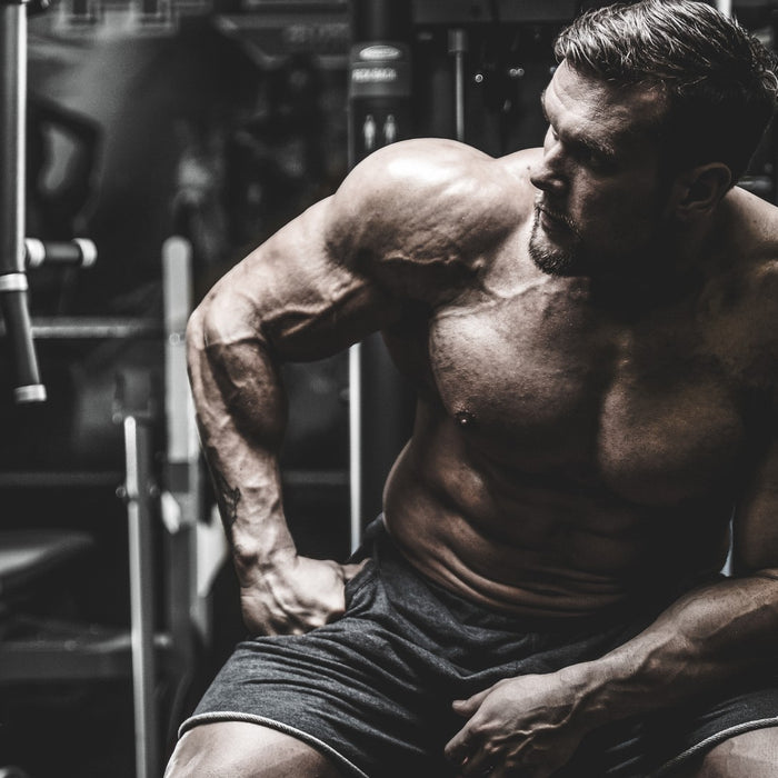 Vertical Diet - Overview of Stan Efferding's Eating Lifestyle