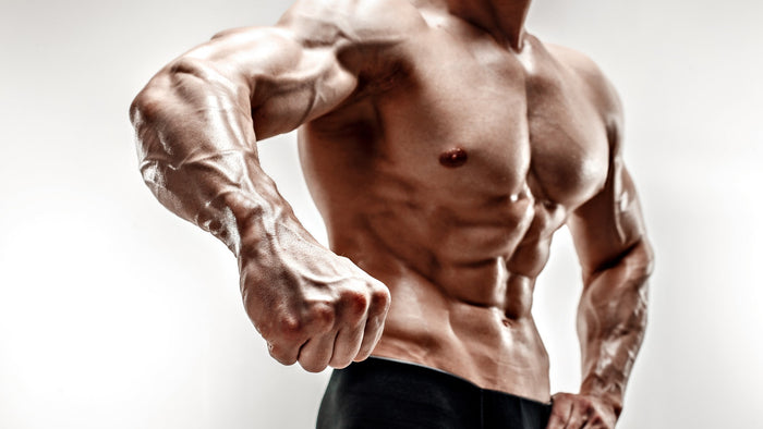 Explosive Growth: The 3 Week Chest Specialization Workout Program