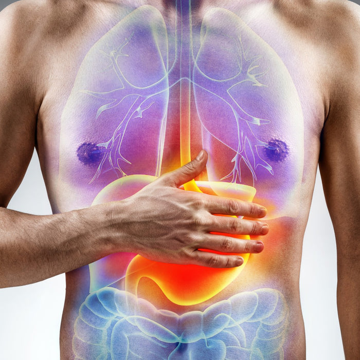 Exploring the GAPS Diet and Gut Health