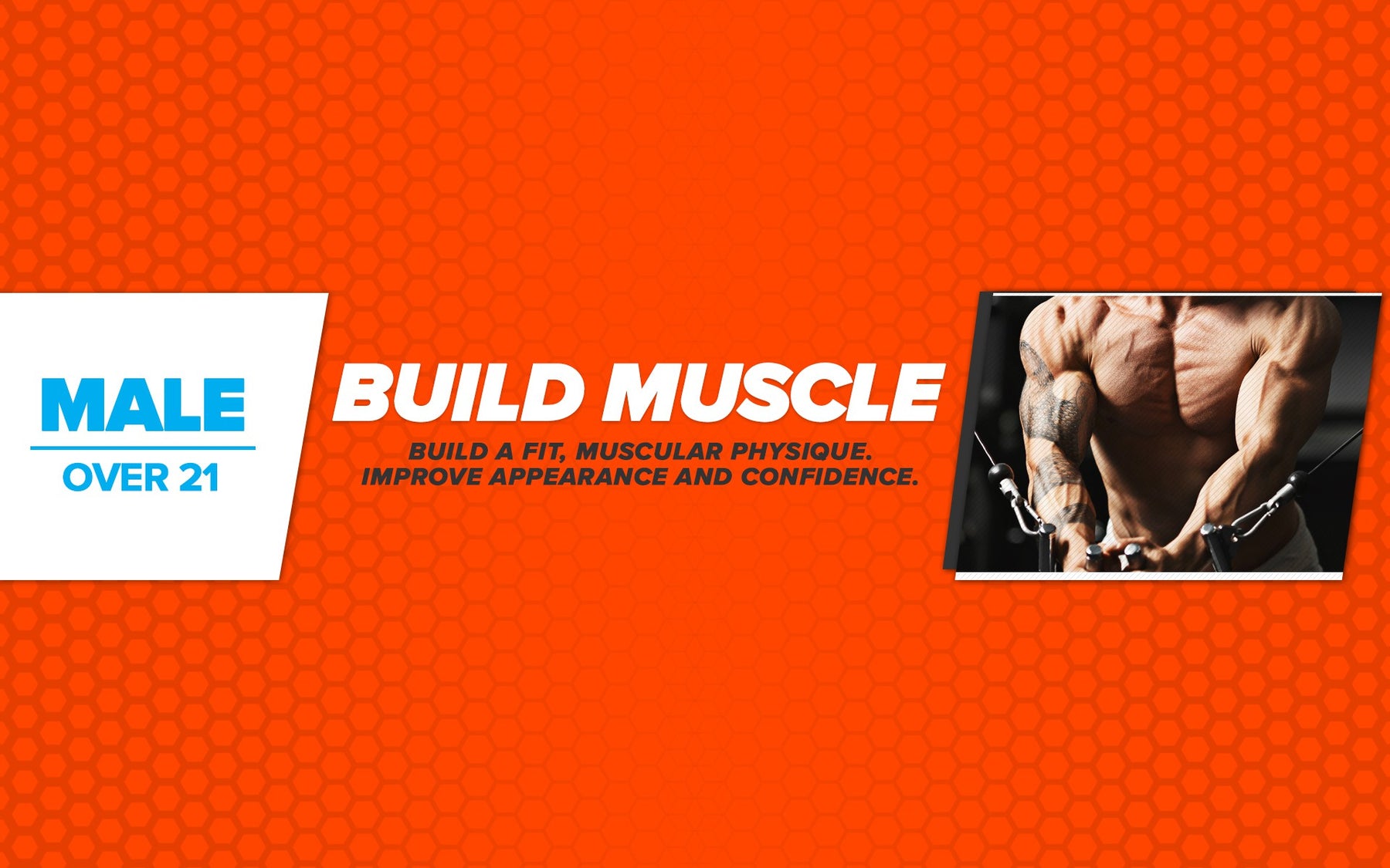 Free Workout Plan - Male - Over 21 - Build Muscle