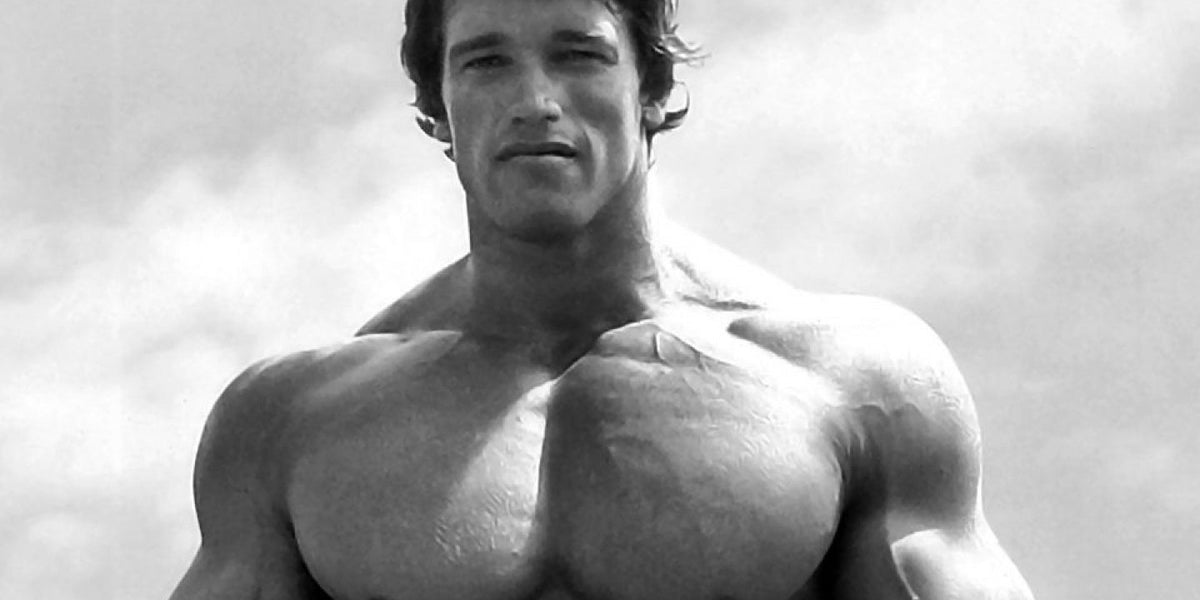 Bergman Bodybuilder Juliette Bergmann Biceps