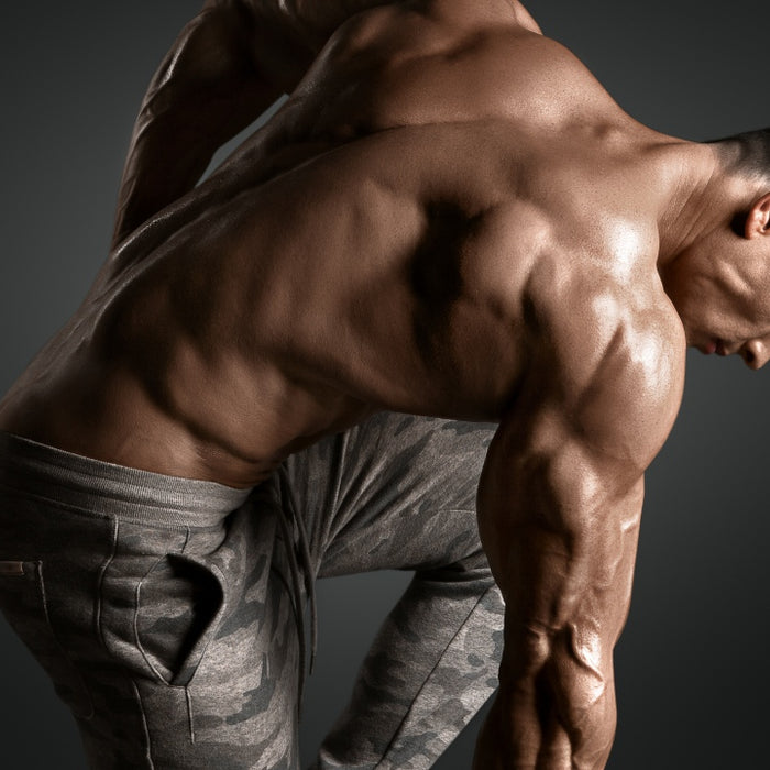 Eliminate Back Pain for Good With These 12 Exercises