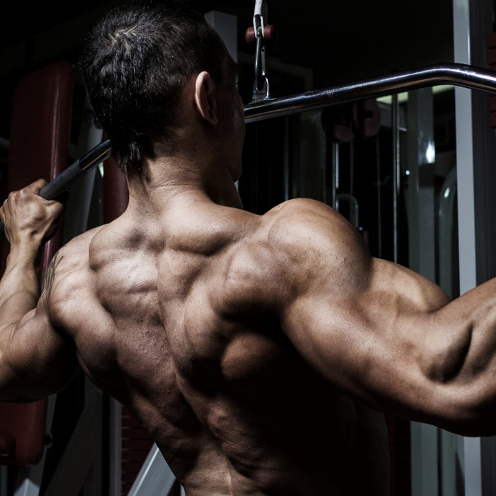 Advanced Back Training - 5 Alternative Upper Back Exercises