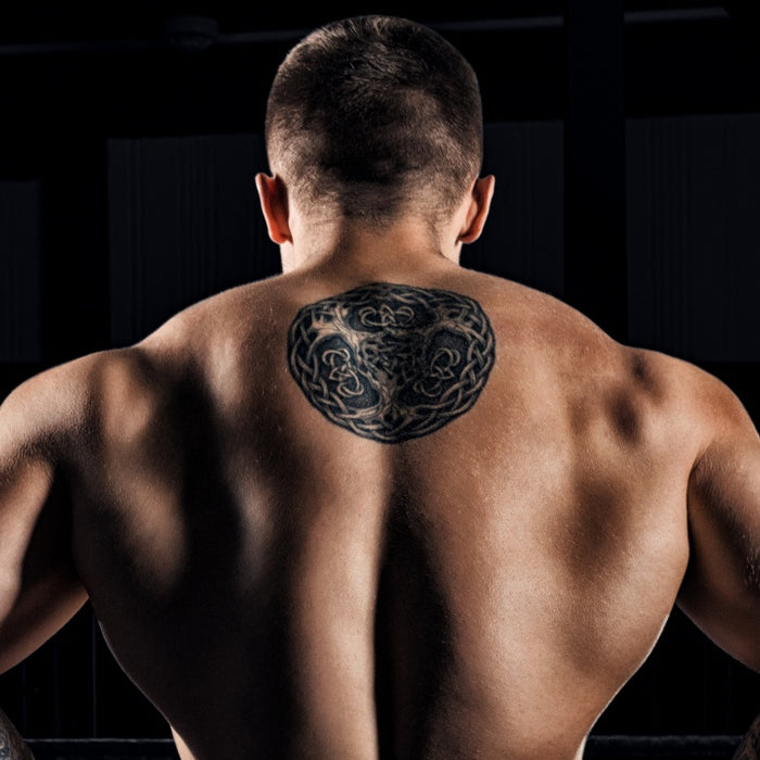 Rhomboid Exercises Finisher for Any Back Workout - Diamond Back Annihilation