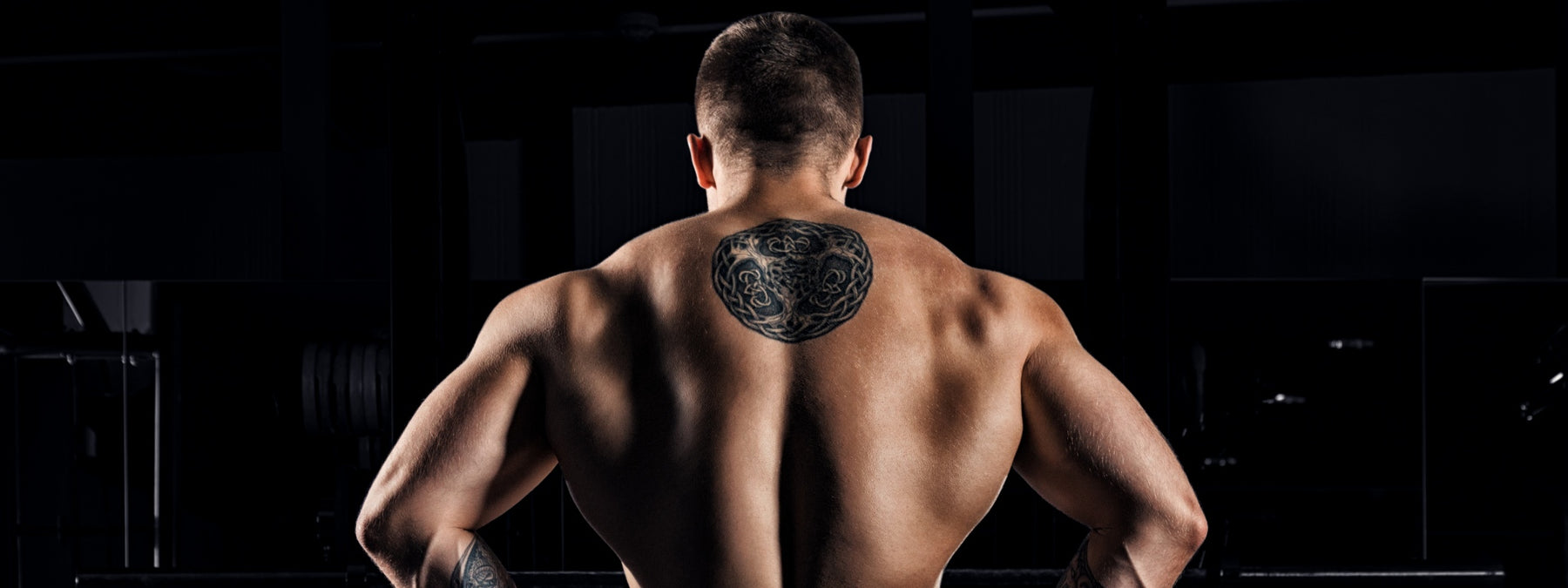 The 3 Best Back Workouts for Freaking Awesome Gains