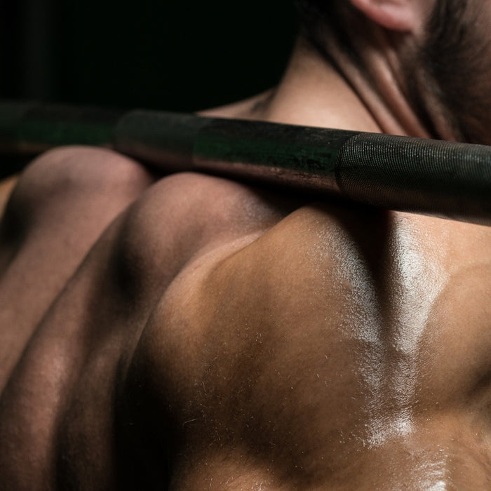 14 Muscle Building Basics for Better Results Now