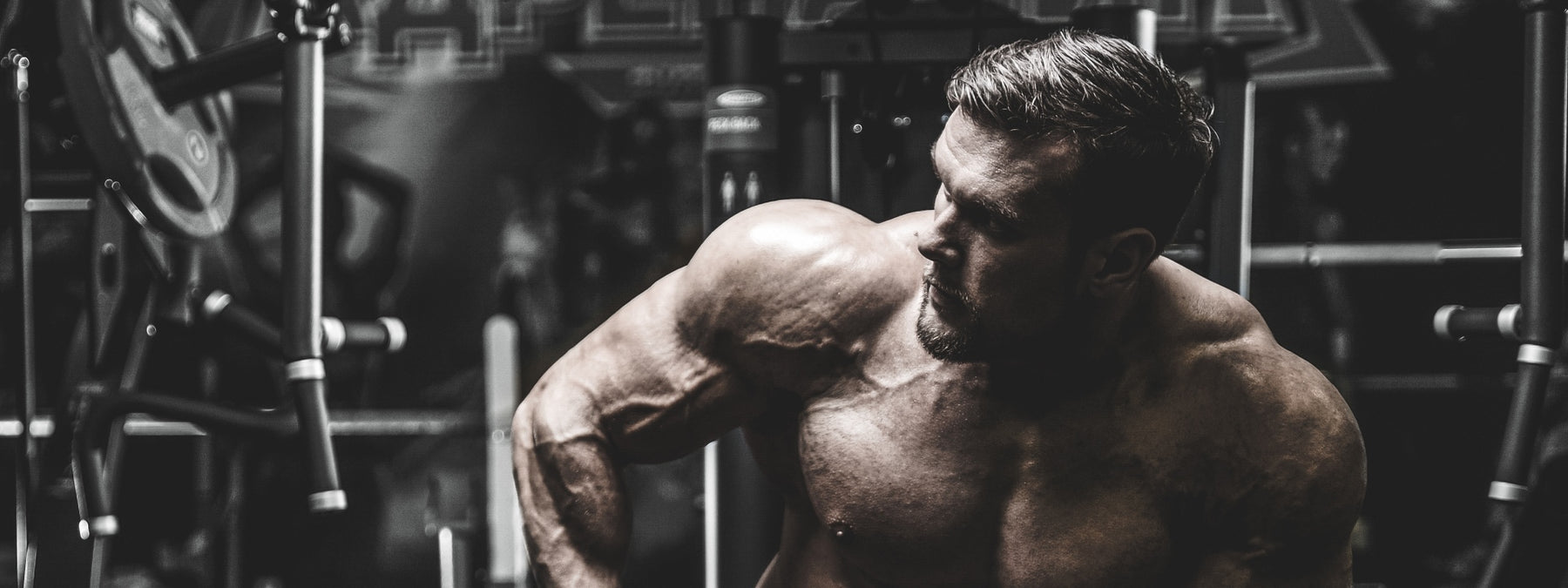 How to Get Big Shoulders: The Intermediate's Guide