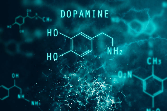 Everything You Need to Know About Dopamine