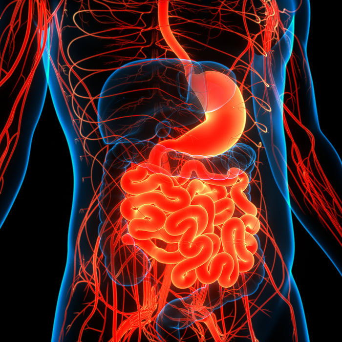 SIBO: How Do You Know if You Have It?