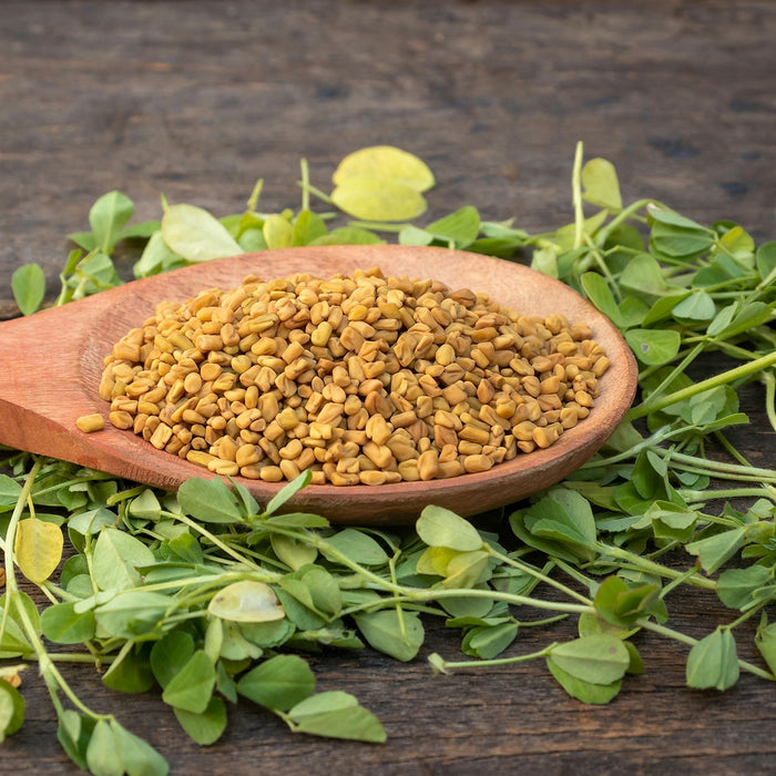 What is Fenugreek Extract Good For?
