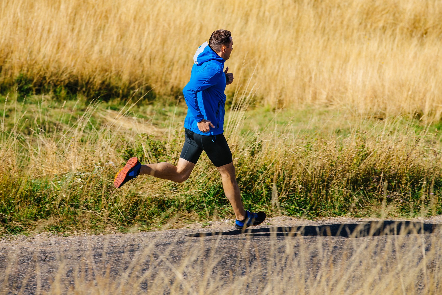 The Benefits of Low Heart Rate Training for Runners