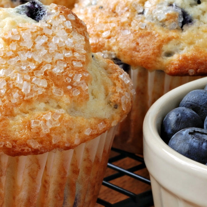 MTS Blueberry Muffin Protein Delights - 2 Easy Recipes