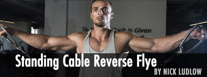 How to Perform the Cable Reverse Fly