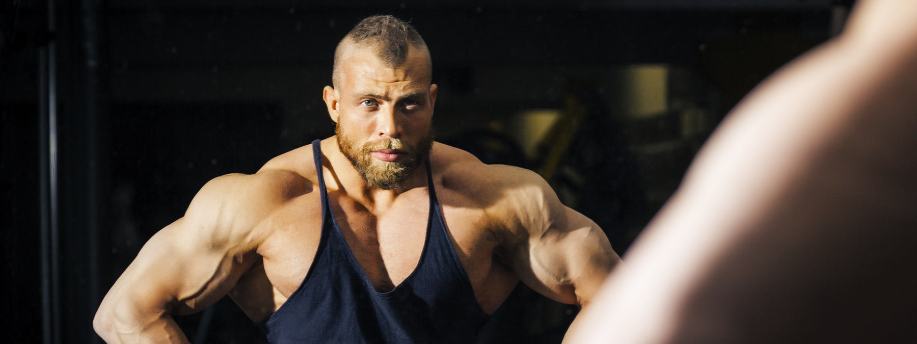 The Great Muscle Building Quiz of Gains! Can You Pass?