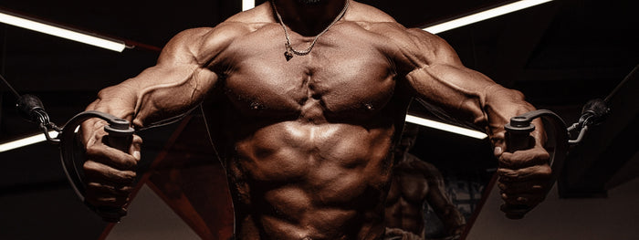 The Best Workout Routines - Our Top 10 Training Programs