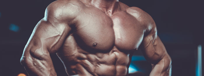 Is Turning Fat Into Muscle Even Possible?