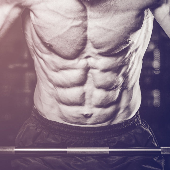 The Ultimate 16 Week Bench Press Workout Program