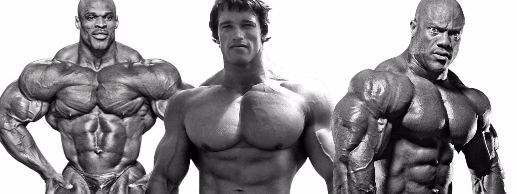 Top 10 Bodybuilders of All-Time